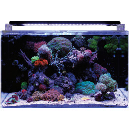 BLUE MARINE REEF 160 AQUARIUM