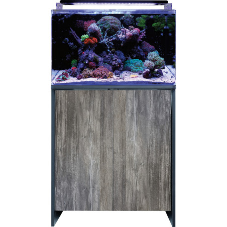 BLUE MARINE REEF 160 STAND BLACK/PASA