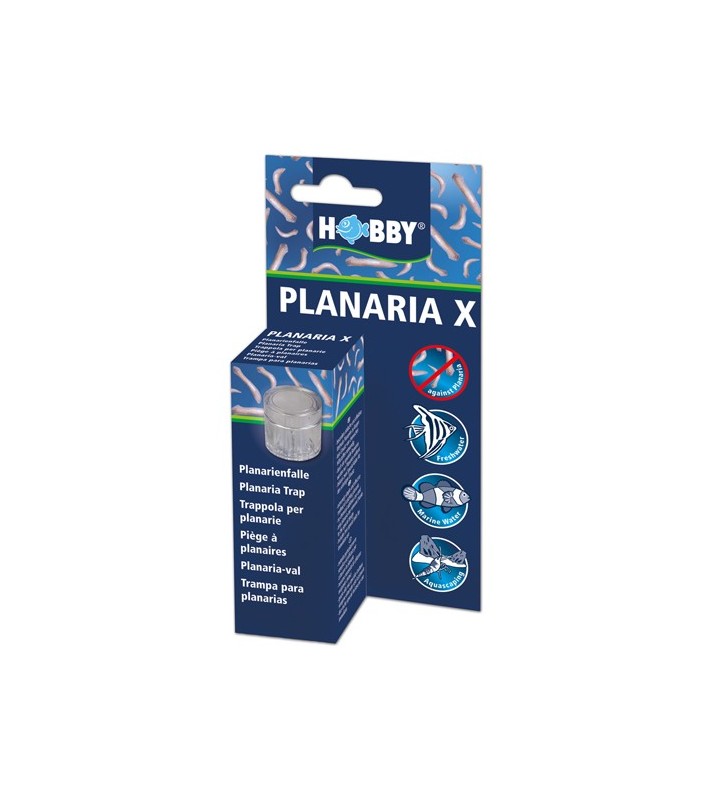 Hobby Planaria X Planaria trap, s.s.