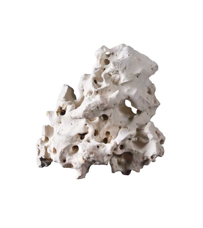 Hobby Cavity Rocks, asian, M 1,0-2,0 kg