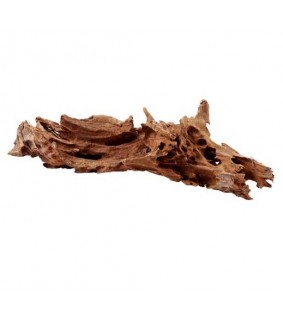 Hobby Mangrove Wood, M 25-35 cm