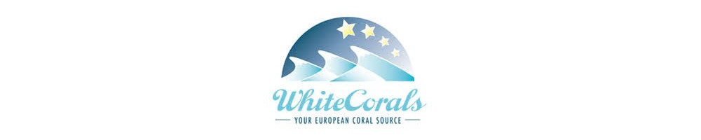 WhiteCorals korallit