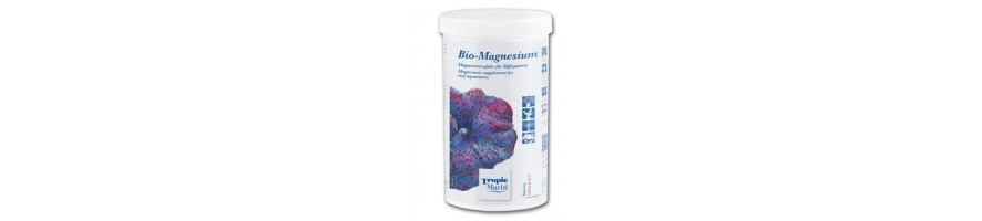 Mg - magnesium