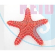 Meritähdet
