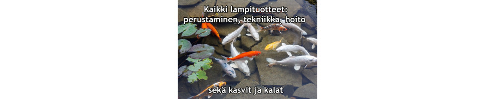 Lampi vesiaihe puro pihalammikko puutarhalammikko suihkulähde
